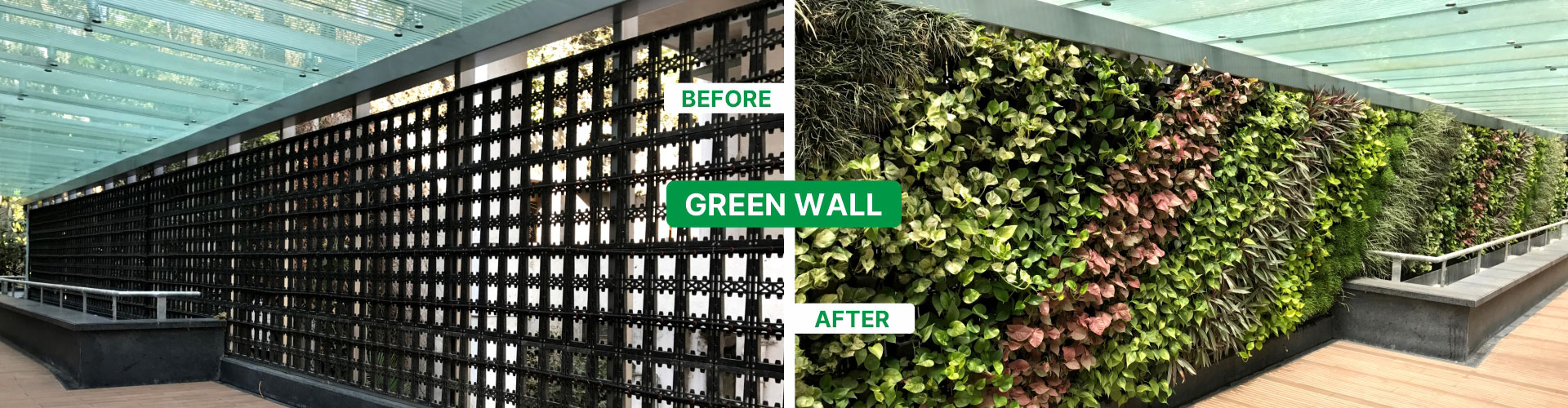 Green Wall